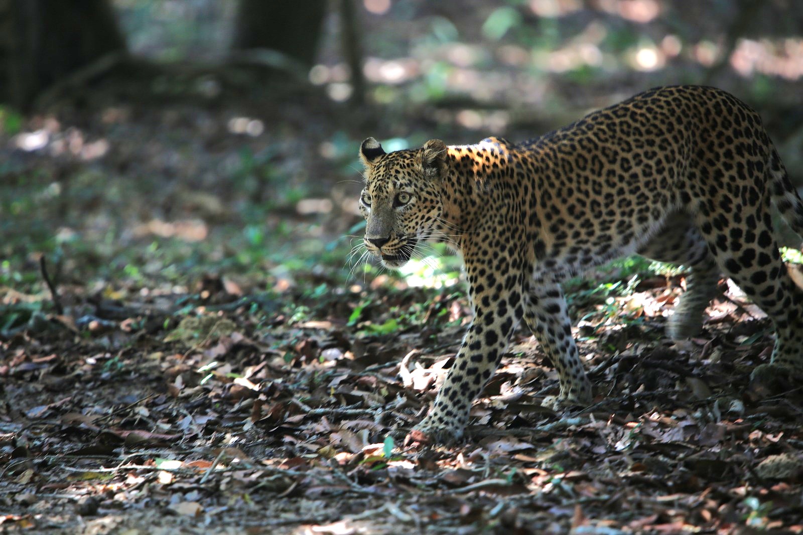 WhatsApp Image 2026-01-18 at 12.11.05 PM