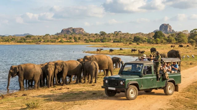 sri-lanka-wildlife-safari-elephants-yala-jeep-scaled